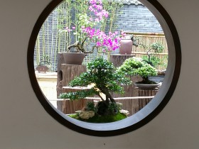 私募股权基金投资条款案例解析之一:私募基金的知情权