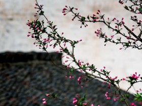 政府出资产业投资基金监管简述