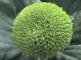 最高法院定调对赌协议的效力及履行