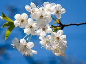 私募基金行业2019年度18个典型司法判例