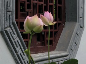 私募基金行业法律动态(2020年8月/总第30期)