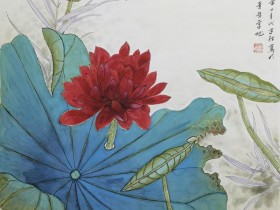 杨春宝律师代理的上海高院典型案例视频讲解