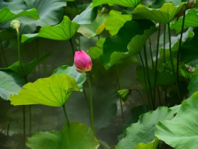 私募基金行业法律动态(2019年6月/总第17期)