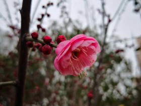 Influence of Foreign Investment Law on foreign investment enterprises